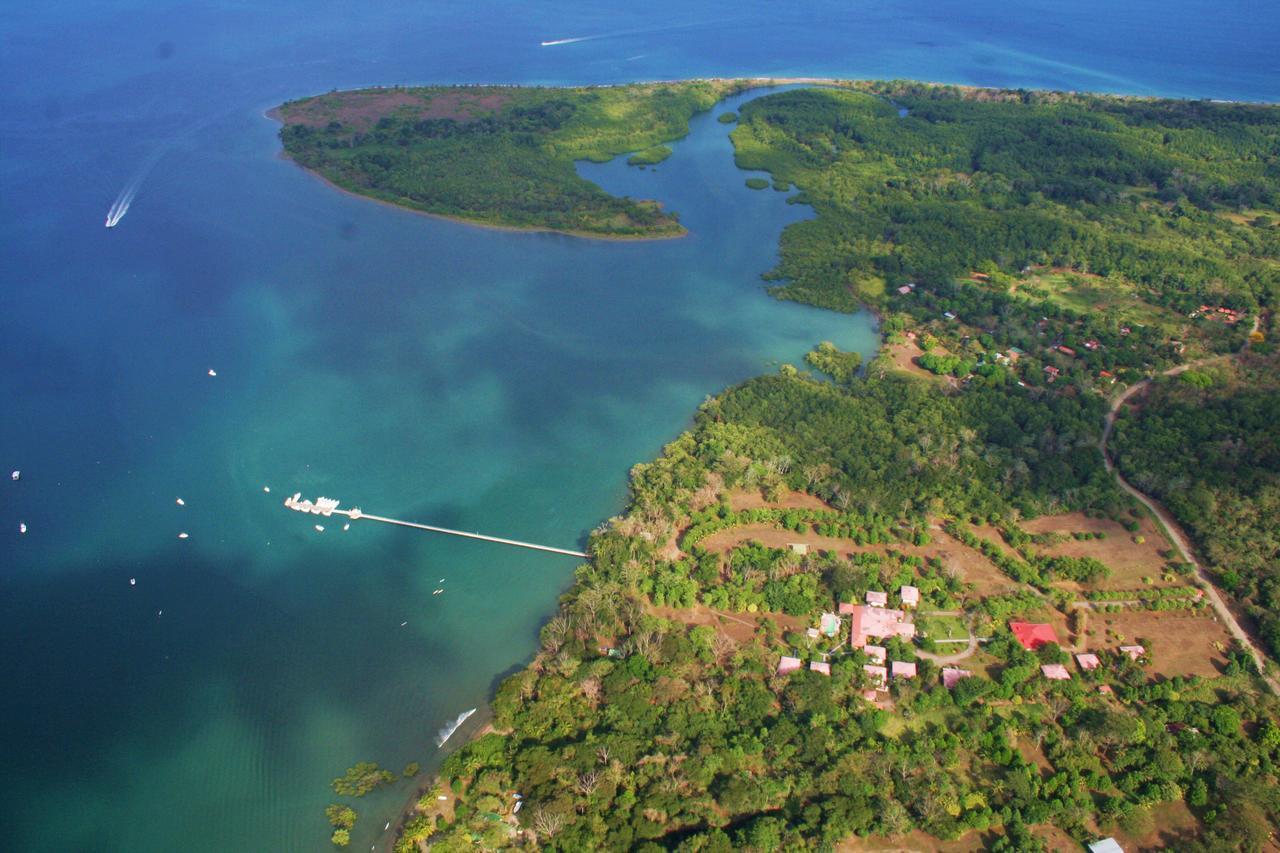 Crocodile Bay Resort Puerto Jimenez Bagian luar foto
